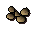 Teak seed - OSRS item