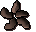Rosewood seed