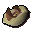 Squid beak