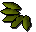 Willow seed - OSRS item
