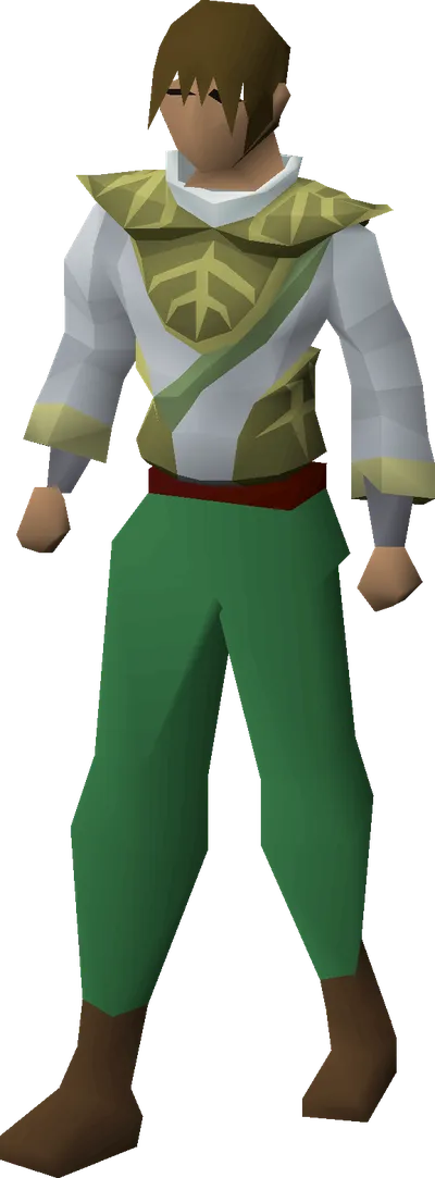 3rd age druidic robe top equipped image