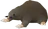 Baby mole drop