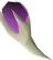 Magic fang drop