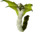 Pet snakeling drop