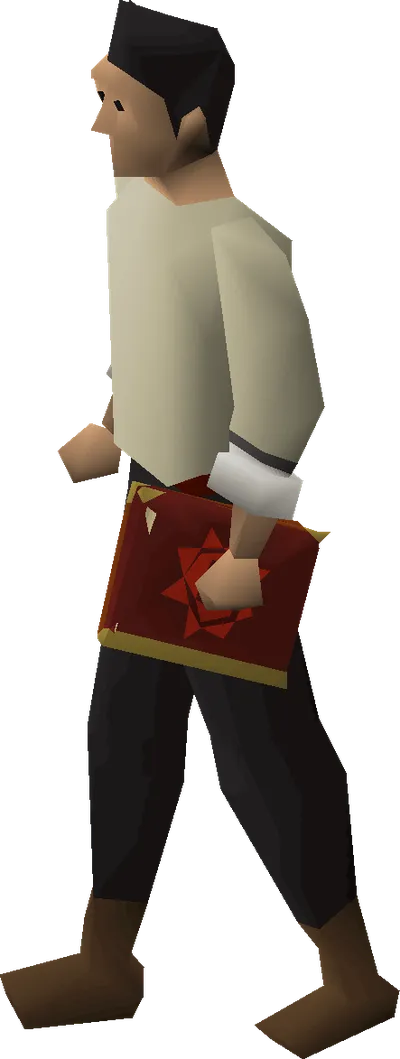 Mage's book equipped image