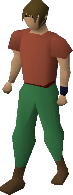Regen bracelet equipped image
