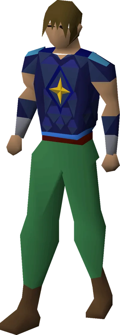 Saradomin d'hide body equipped image